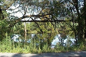 Carp River along Loggers Way at Kinburn