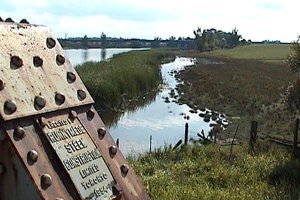 Marsh SW of Mississippi River Bridge