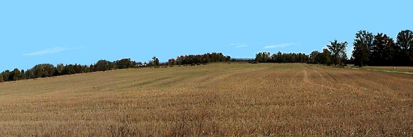 Fields SE of Antrim