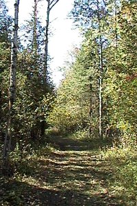 Forest Edge Drive Trail