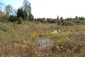 Quarry Area to the Northwest