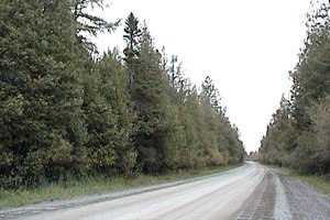 Old Almonte Road just West of Manion Corners