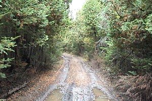 Trail SE of Corkery Road