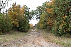 Trail SE of Howie Road