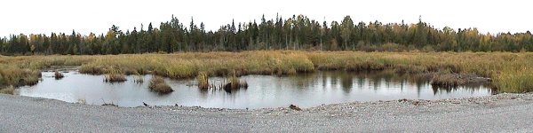 Marsh at the SE End of Beavertail Road