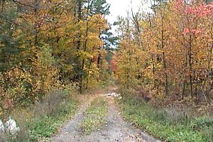 Wood Road at David Manchester and Rothbourne Roads