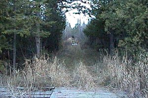 View of the Trail