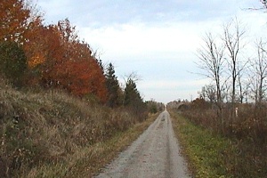 View of the Trailway Looking Northeast of Overpass Road