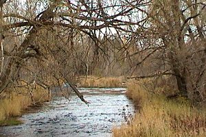 Jock River along McCaffery Trail