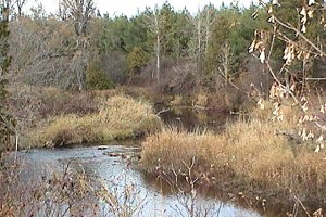 Jock River along McCaffery Trail