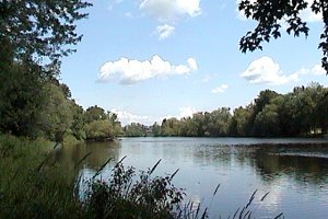 The Mississippi River South of Appleton