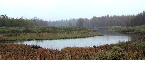 View of Jock River from Cemetery Sideroad Looking East