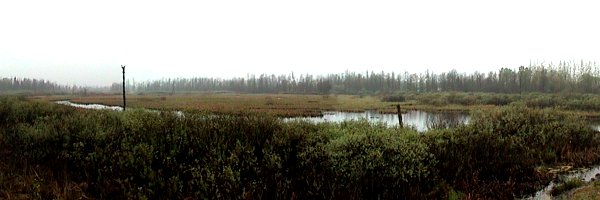 View of Jock River from Cemetery Sideroad Looking West