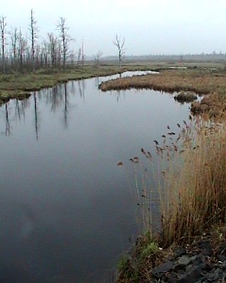 View of Jock River from 9th Line Beckwith