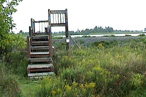 Viewing Tower at the Almonte Sewage Lagoons