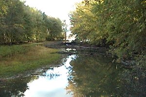 View of Watts Creek Outlet