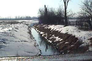 Ditch along March Valley Road Open All Winter