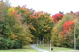 View of Hampton Park