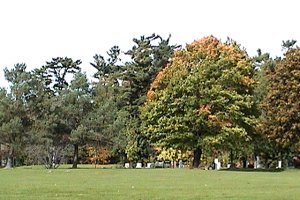 Pinecrest Cemetery