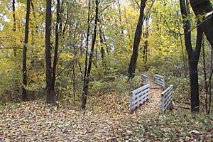 Frank Ryan Park