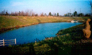 Newly Landscaped Pond at the Nepean Creek Stormwater Facility