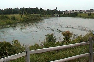 Upper Pond at the Clarke Bellinger Environmental Facility