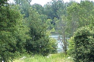 View of Jock River Landing Area