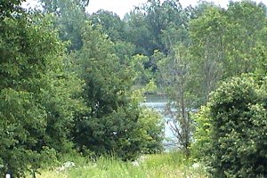 View of Jock River Landing Area