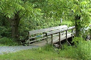 Trail at Beryl Gaffney Park