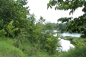 Rideau River at Beryl Gaffney Park