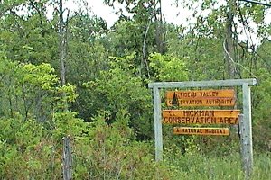 View of Hickman Conservation Area