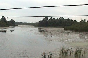 View of Cranberry Creek Mouth