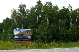 Woodland at the Corner of Cambrian & Cedarview Roads