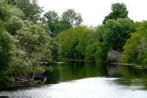 View of Jock River Conservation Area Looking East from Cedarview Road