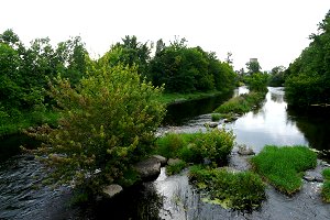 View of Jock River Conservation Area Looking West from Greenbank Road