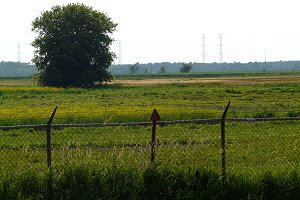 View of the Fields off Greenbank Road at Fallowfield Area