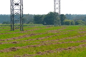 View of Fields off Greenbank Road at West Hunt Club Area