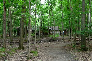 The Wild Bird Care Centre and Picnic Area