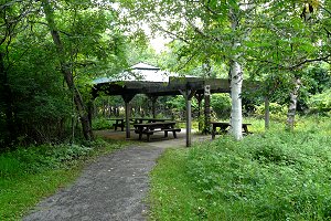 Picnic Area at Sarsaparilla Trail