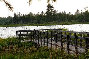 Boardwalk Access and Pond