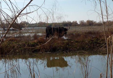 Water and a Potential Hazard - December 28, 2010