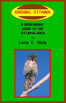 Birding Ottawa