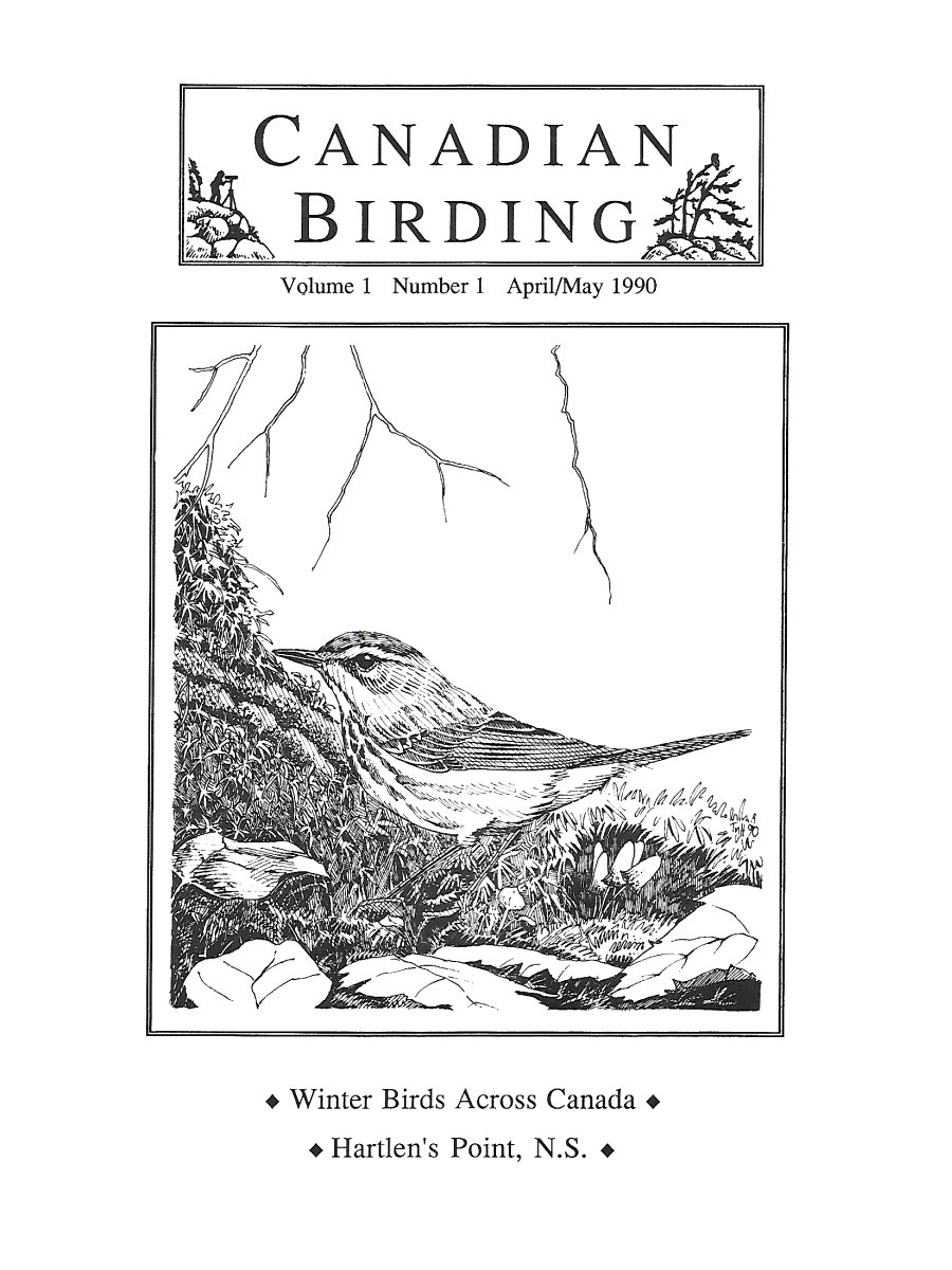 Canadian Birding Spring 1990 Cover