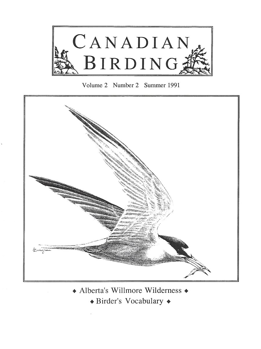 Canadian Birding Summer 1991 Cover