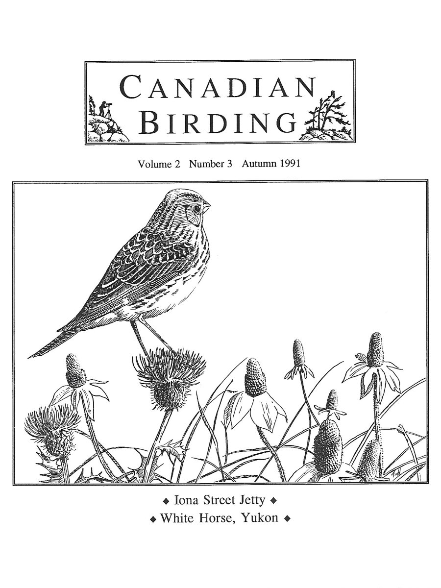 Canadian Birding Autumn 1991 Cover