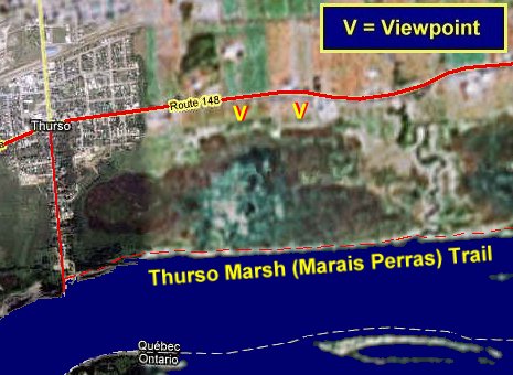 Google Sattelite Map of the Thruso Marsh Area