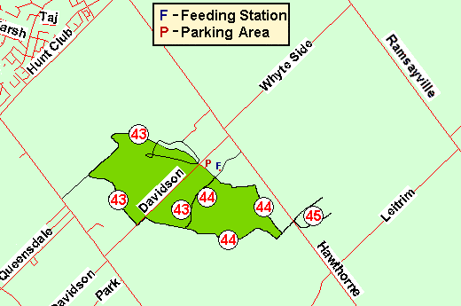 Map of Pine Grove Trails (Davidson Road)