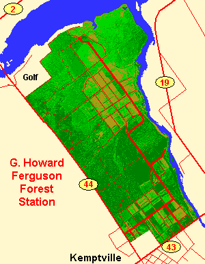 Map of G. Howard Ferguson Forest Station Area