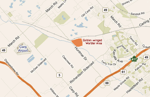 Microsoft Earth Map of Huntmar Drive area