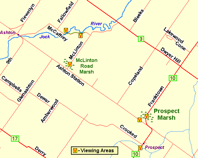 Map of the McLinton Road Marsh area